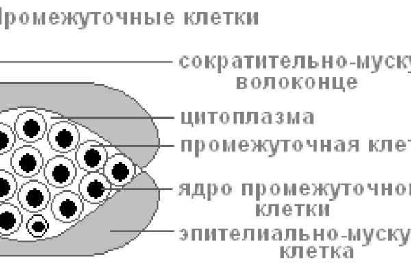 Кракен топ