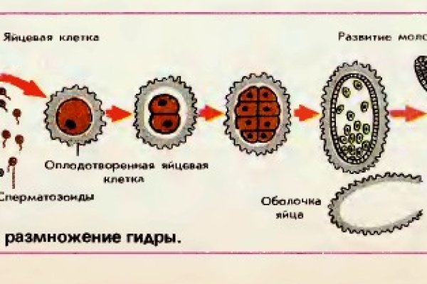 Как войти на кракен