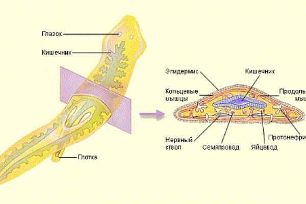 Кракен магазин krakens13 at